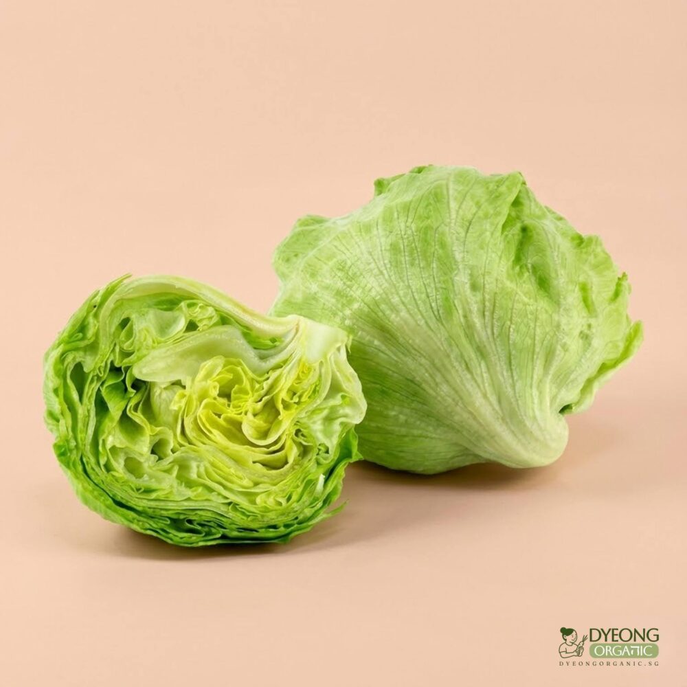 Organic Lettuce – Iceberg (350g) Australia