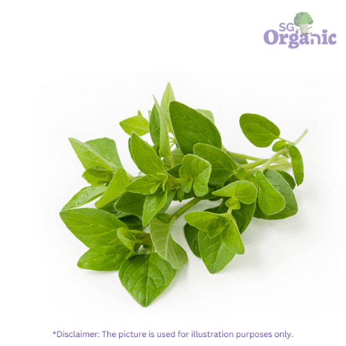 Oregano.png