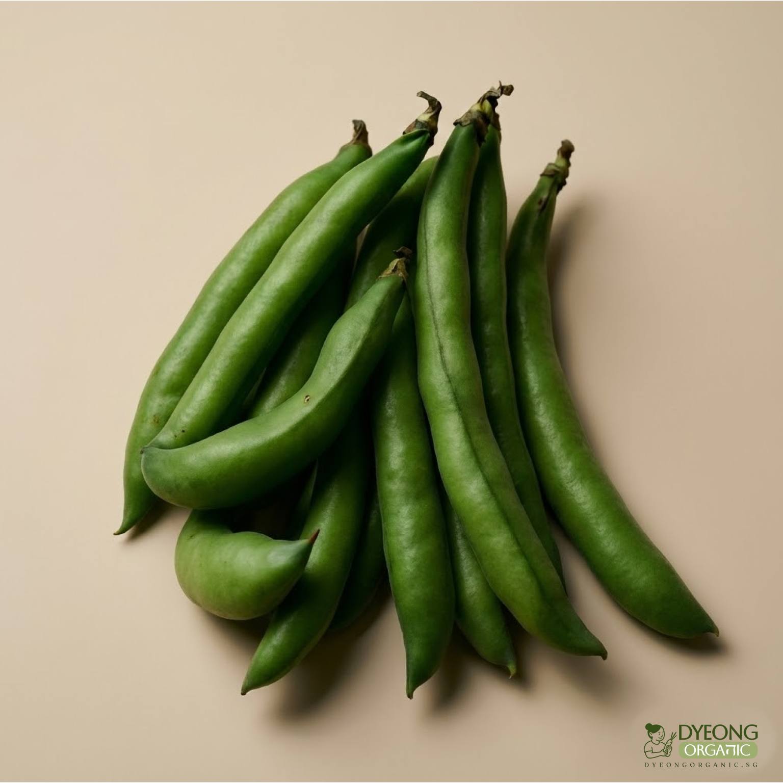 Organic Squash – Spaghetti-1_34_Dyeong