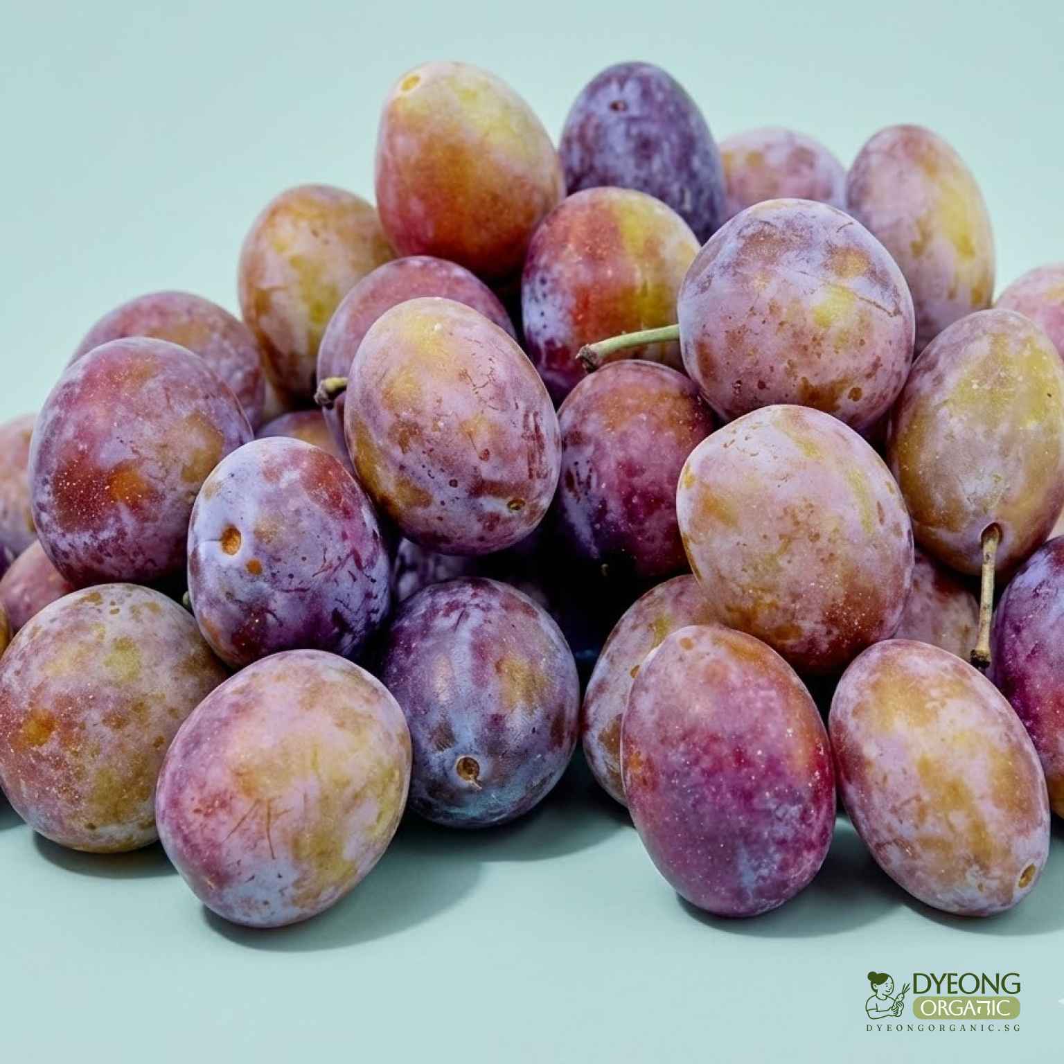 Sugar Plums_27_11zon