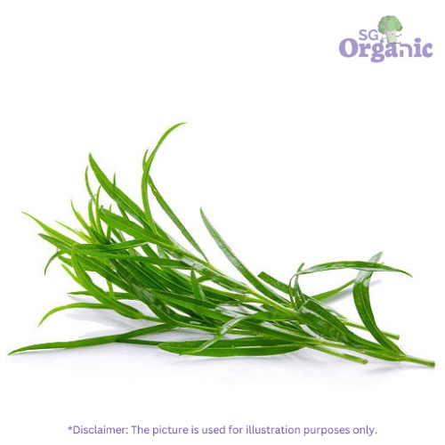 Tarragon.png