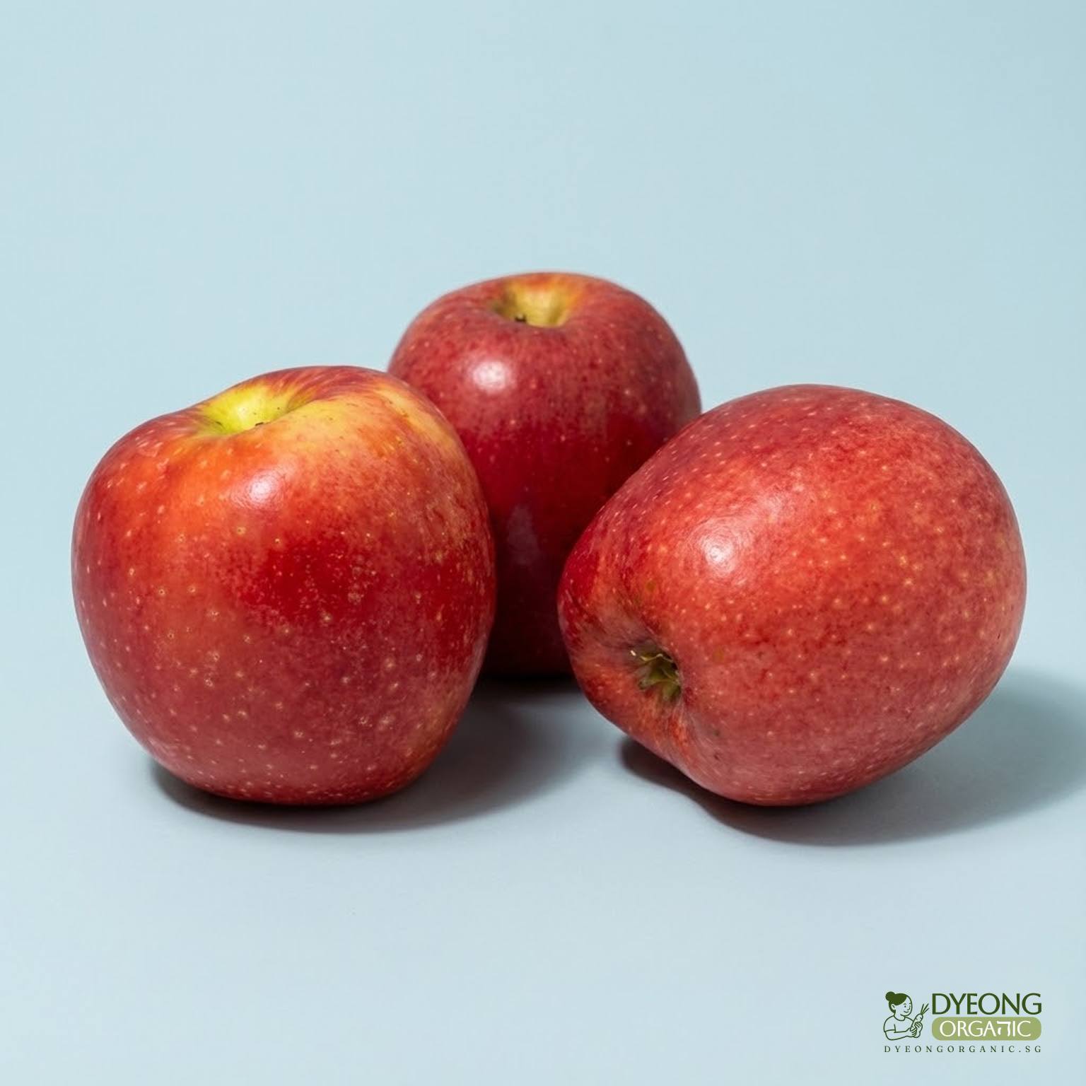 apple-rose-each_Dyeong