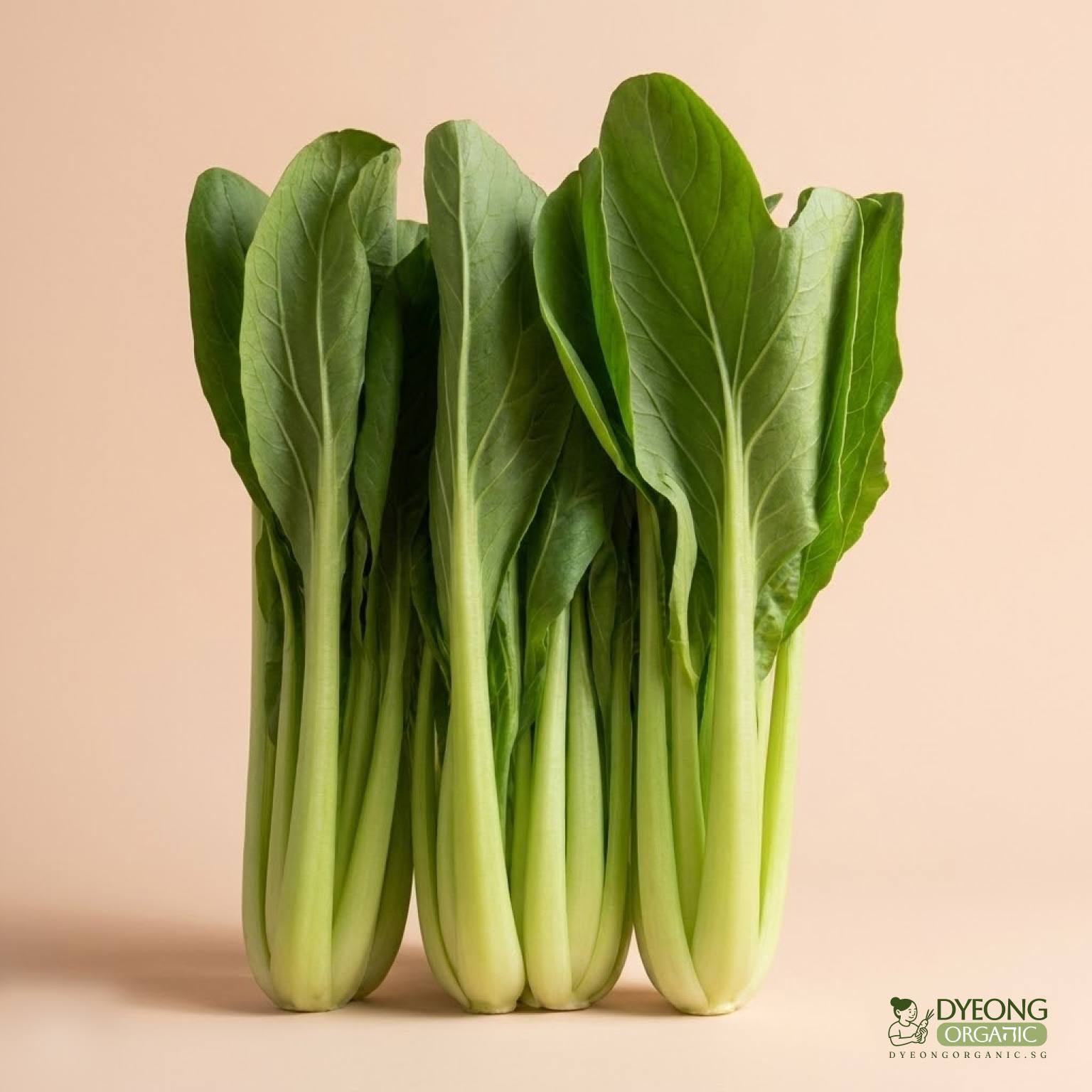 asian-greens-choy-sum-1-stemDyeong