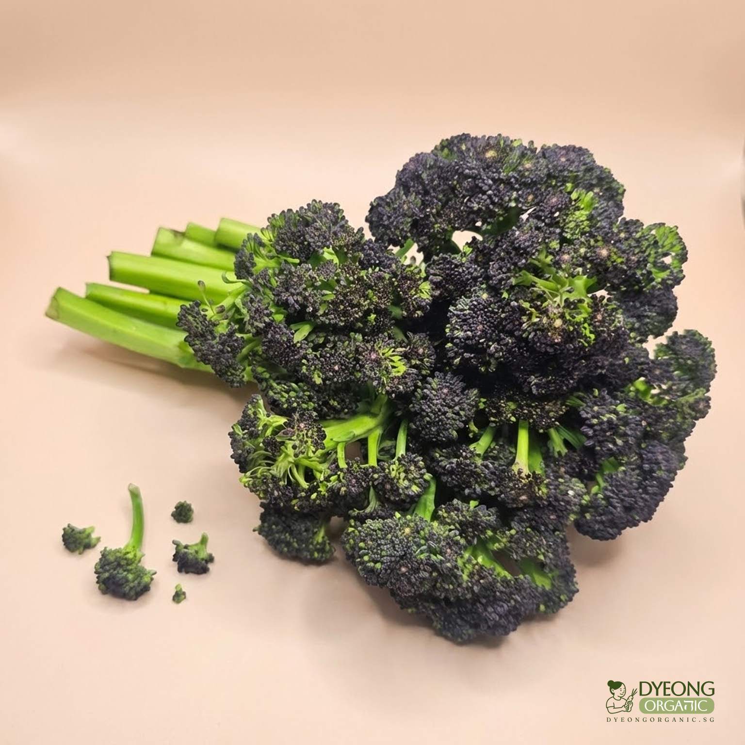 broccolini-bunch_7_Dyeong