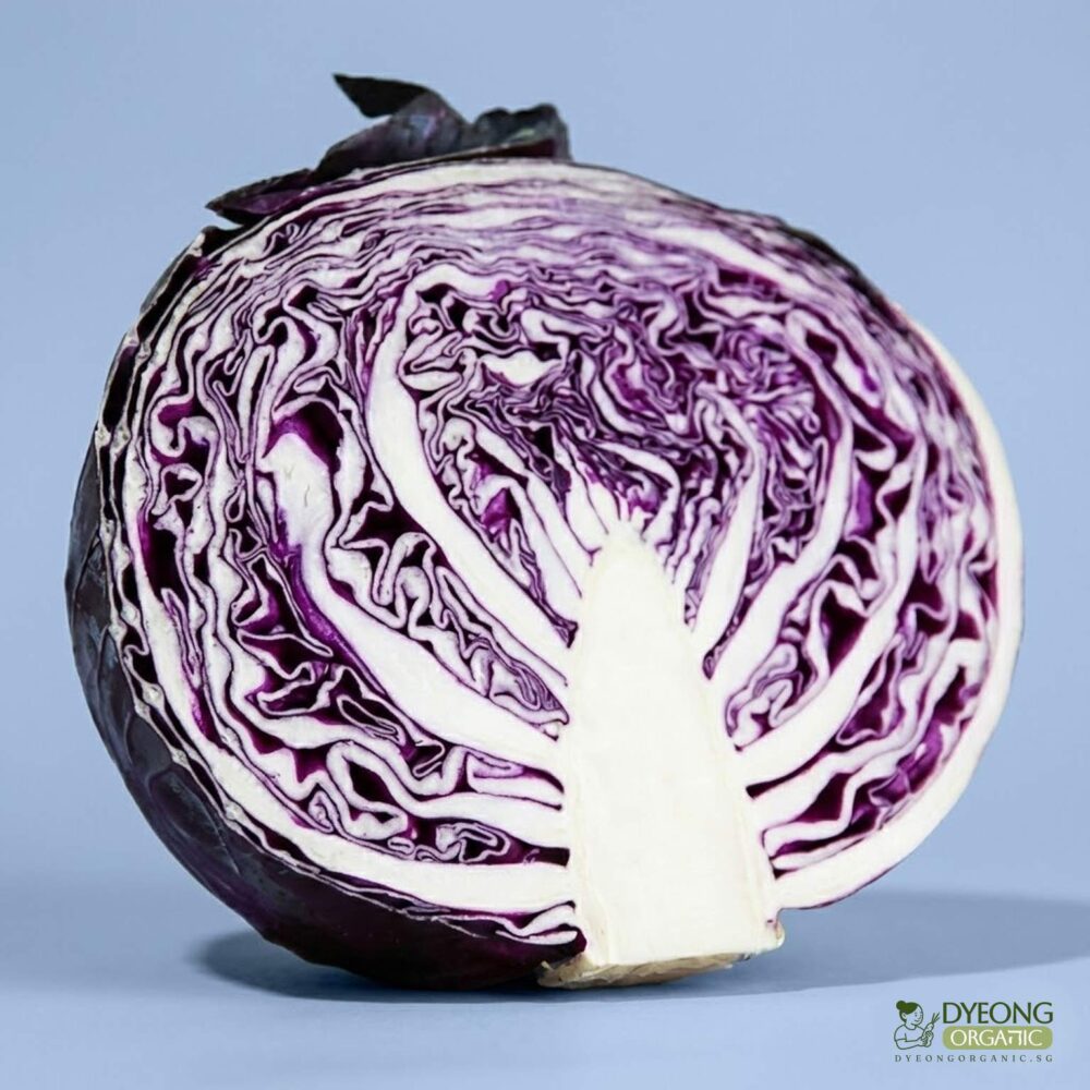 Organic Cabbage – Red (500g-cut) Australia
