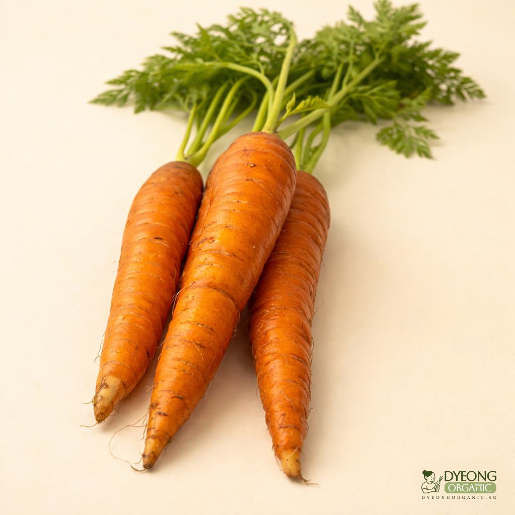 carrot-rainbowdutch-250g