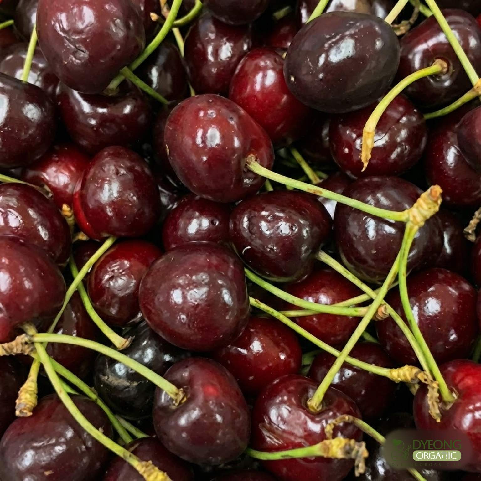 cherry-250-g-punnet_22_Dyeong