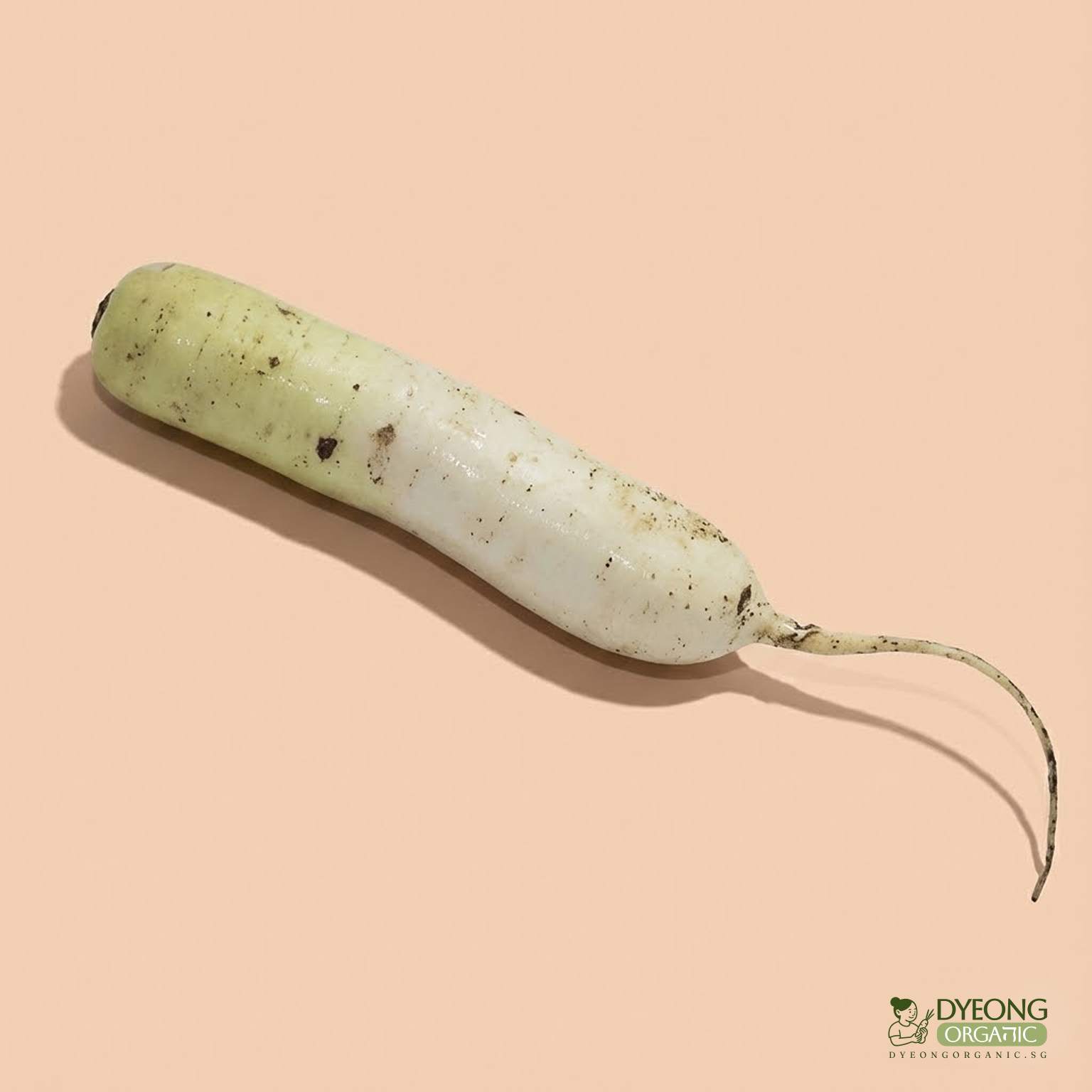 daikon-250g_27_Dyeong
