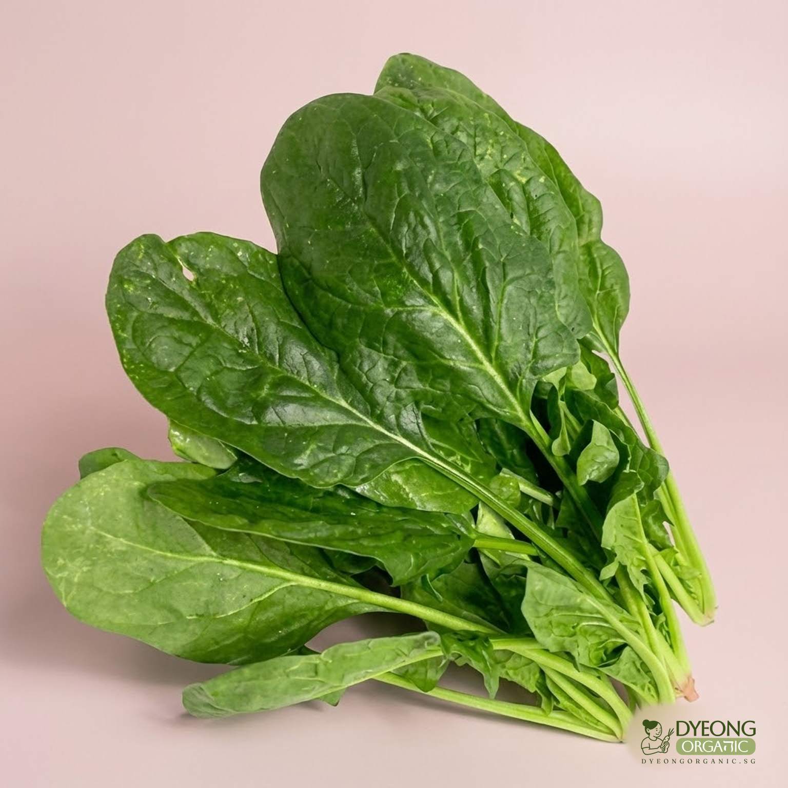 english-spinach-250g_31_Dyeong