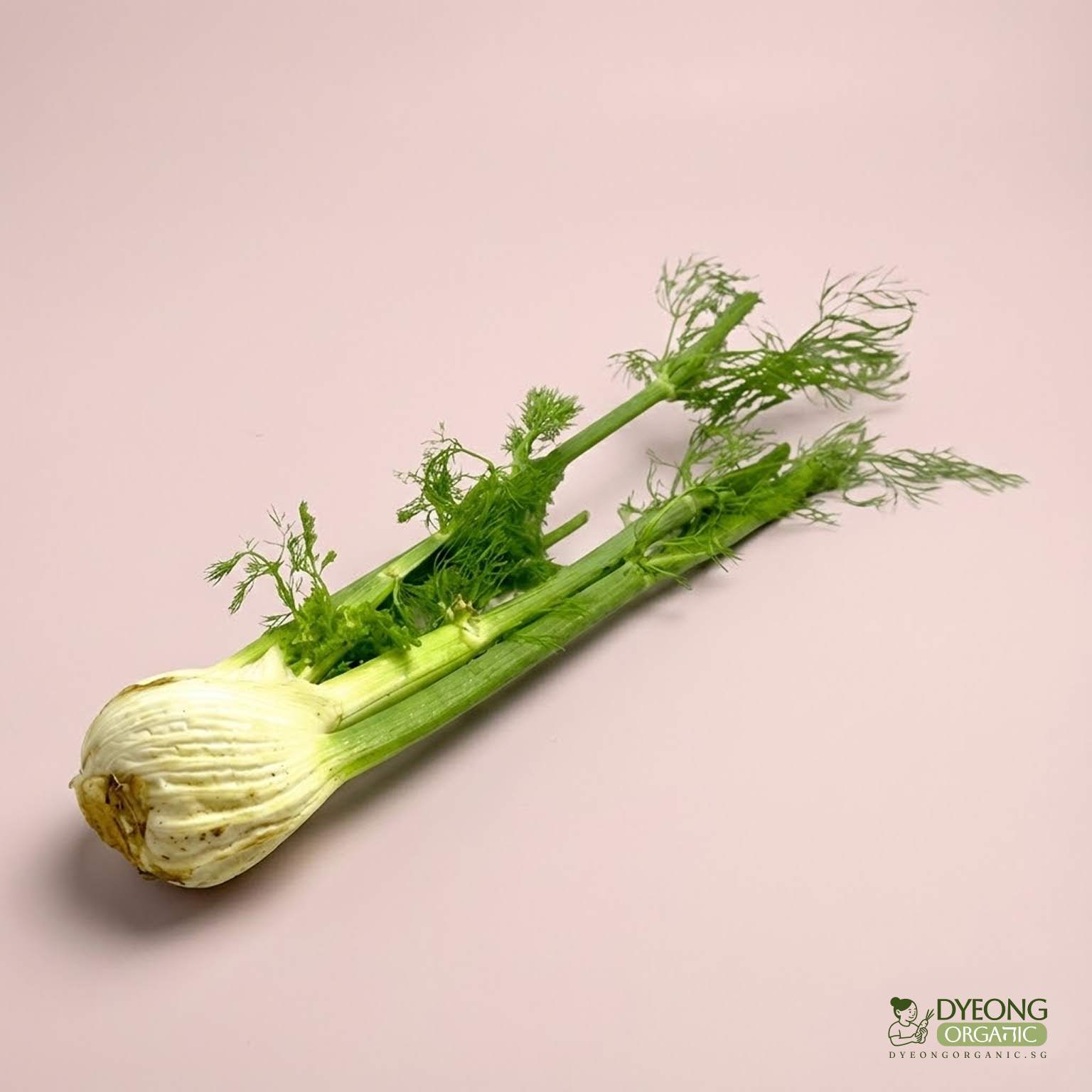 fennel-1-tie_32_Dyeong