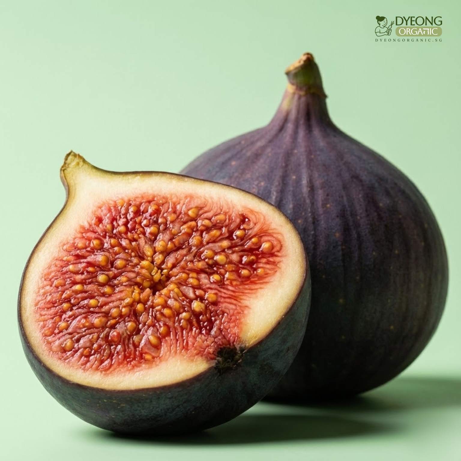 figs-100g_33_Dyeong