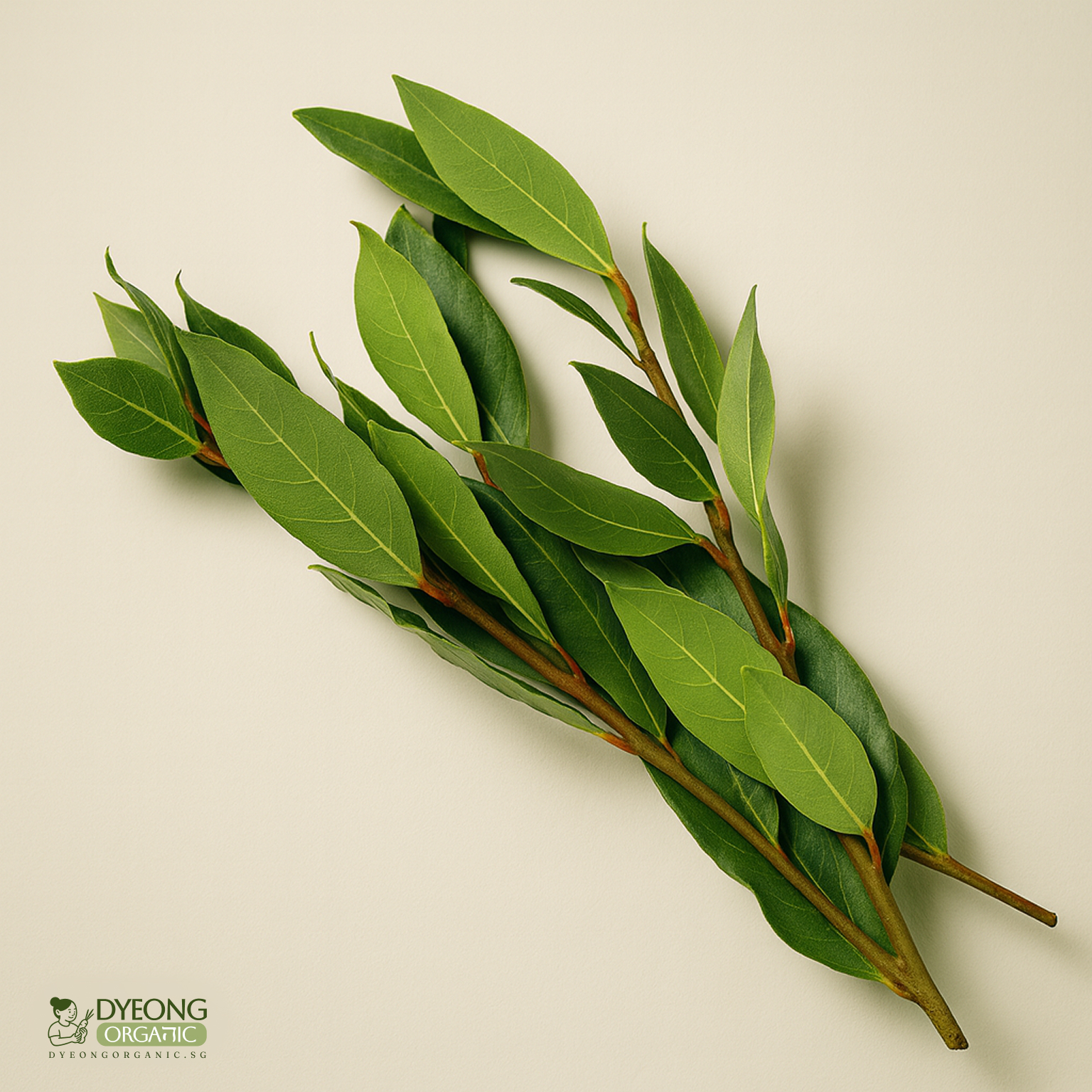 herb-bay-leaves-25g