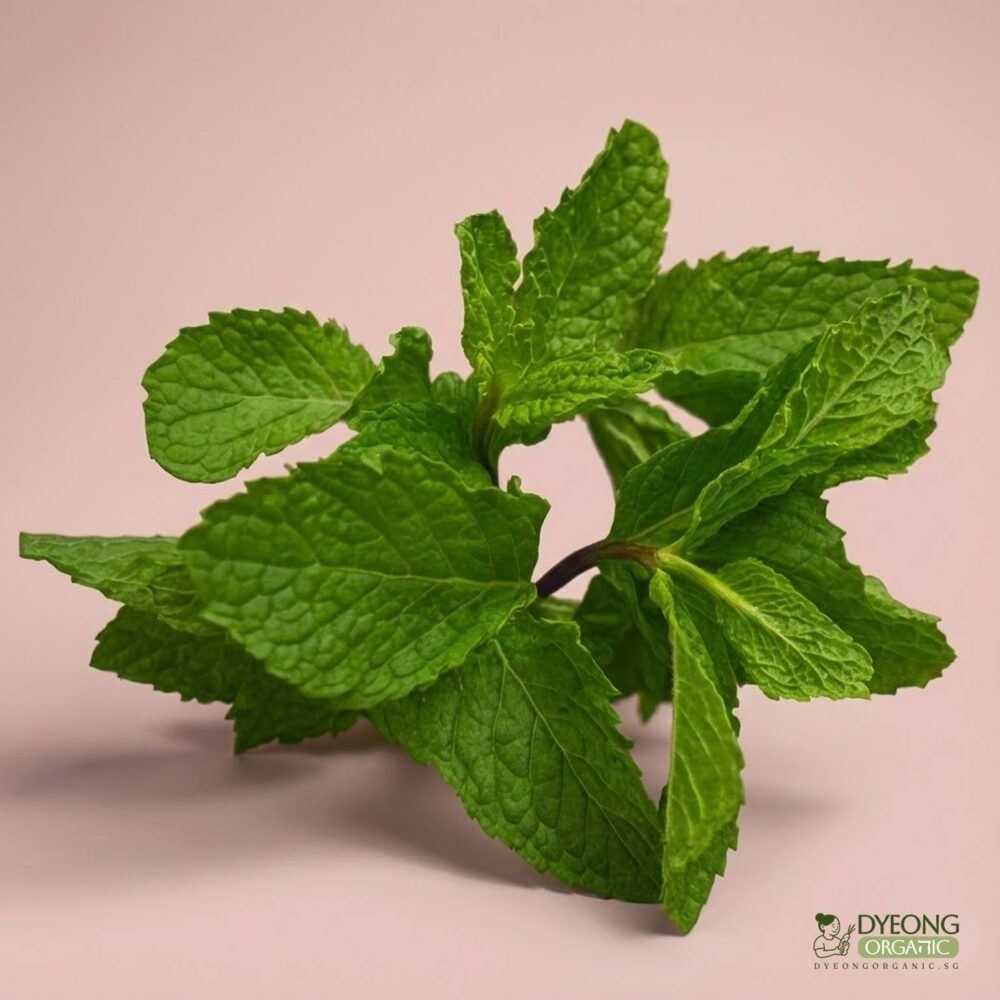 Organic Herbs – Mint (25g) Australia