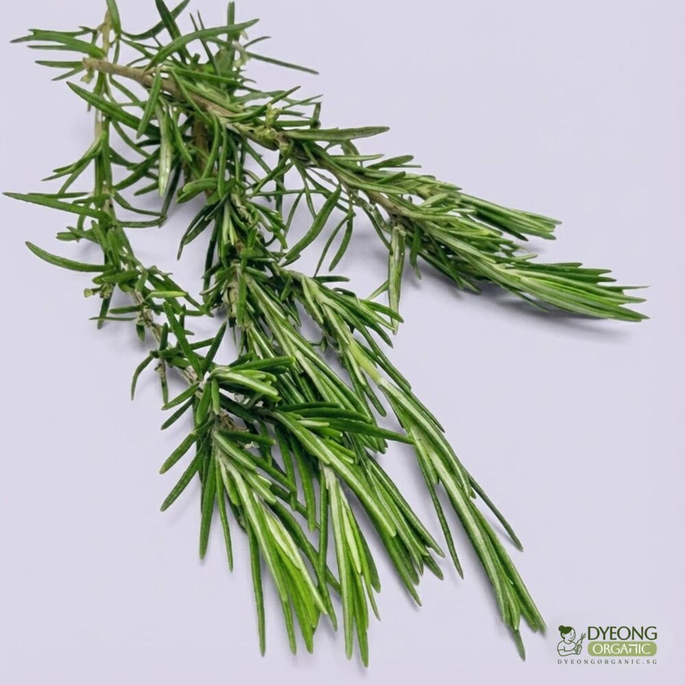 Organic Herbs – Rosemary (25g) Australia