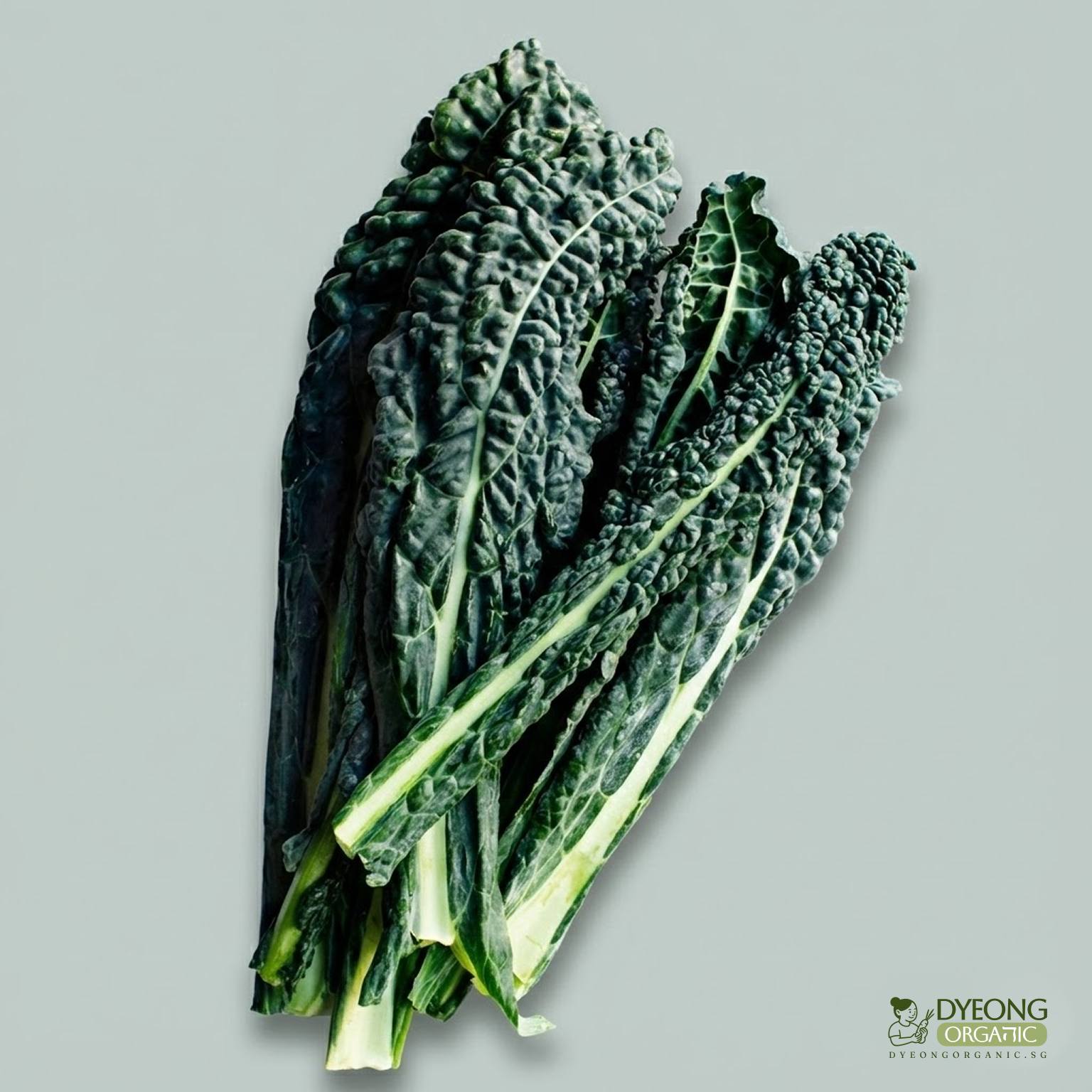 kale-black-cavolo-nero-dinosaur-kale-400g-3_9_Dyeong