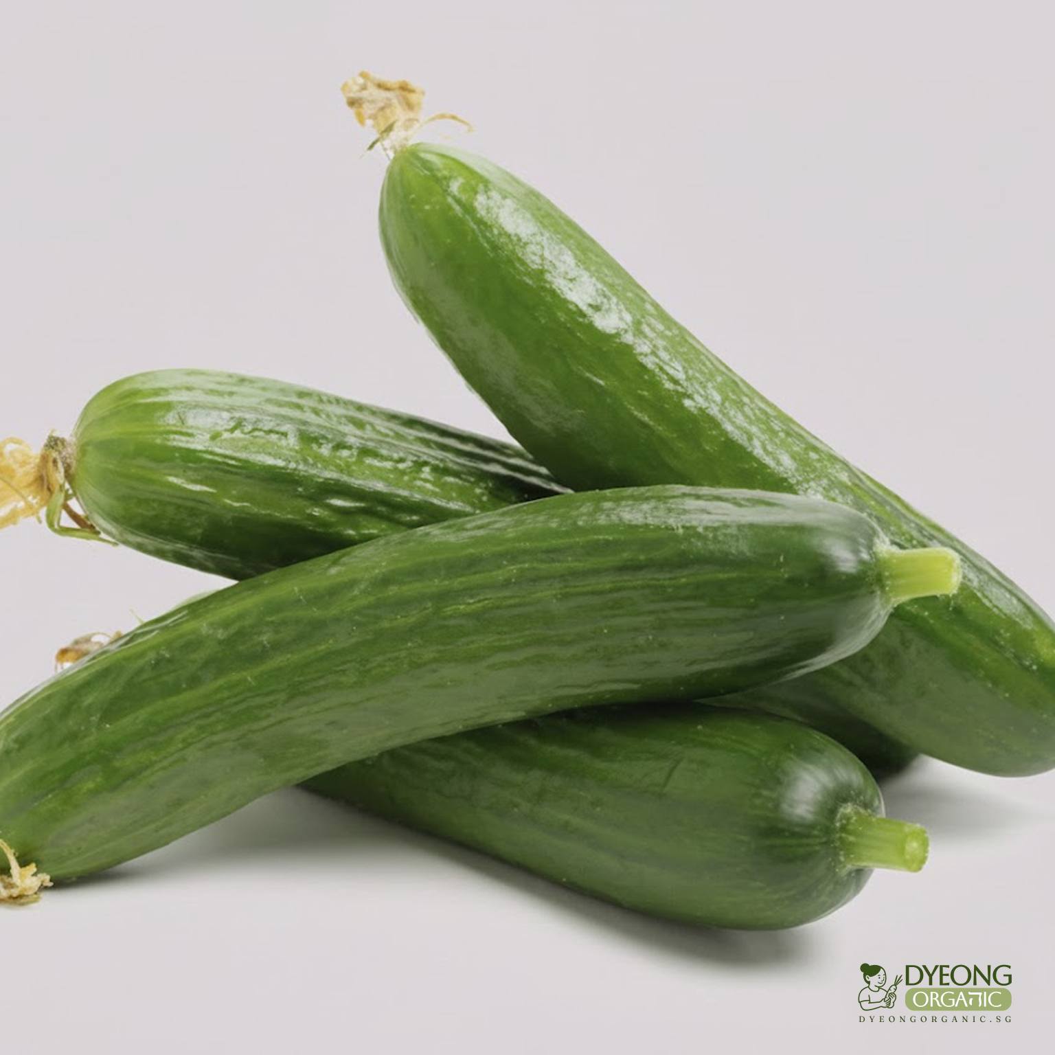 lebanese-cucumber-250g_14_Dyeong