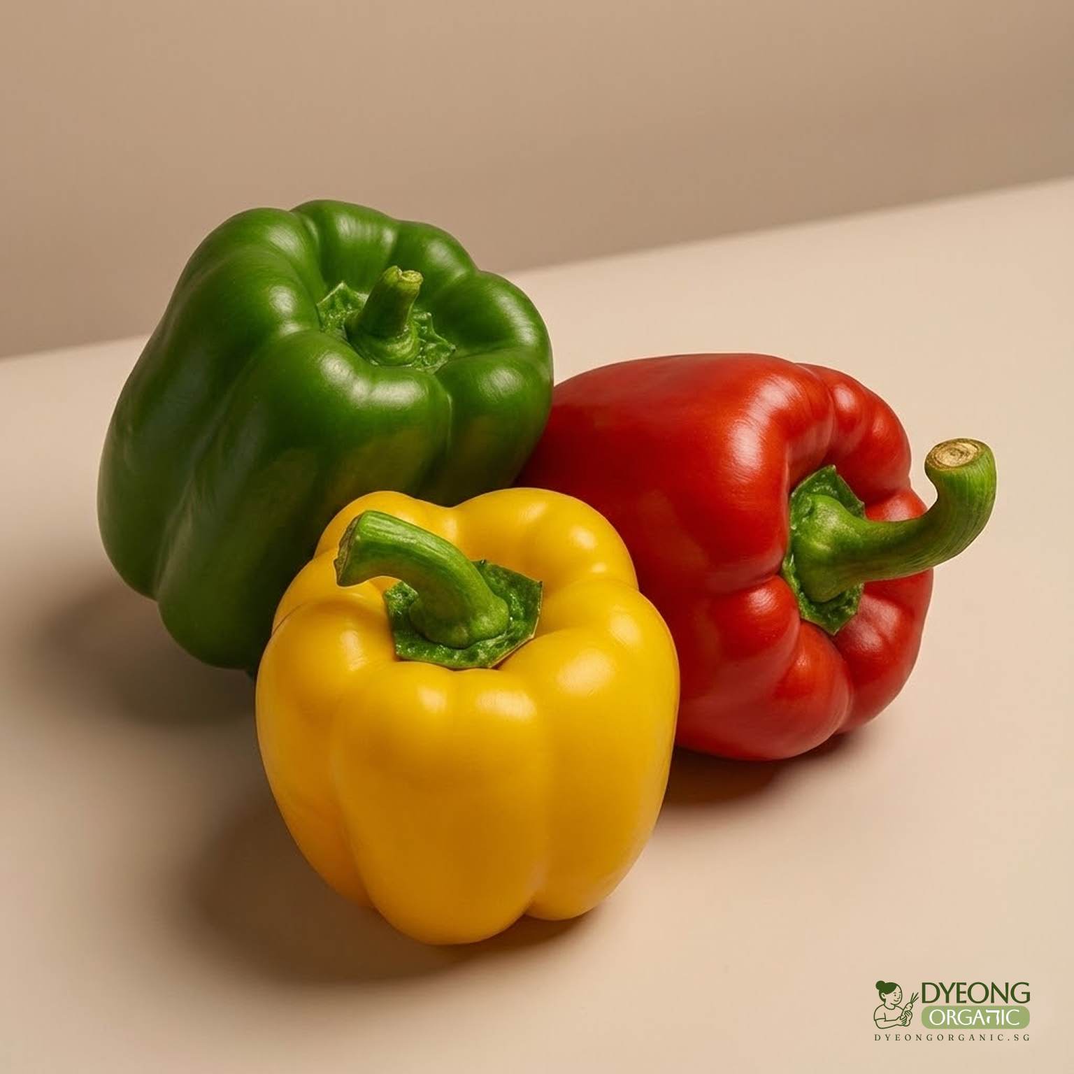 organic-capsicum-rainbow-one-of-each-colour_7_Dyeong