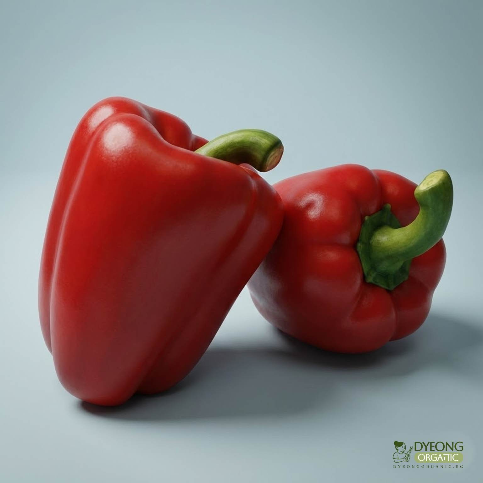 organic-capsicum-red-each_8_Dyeong