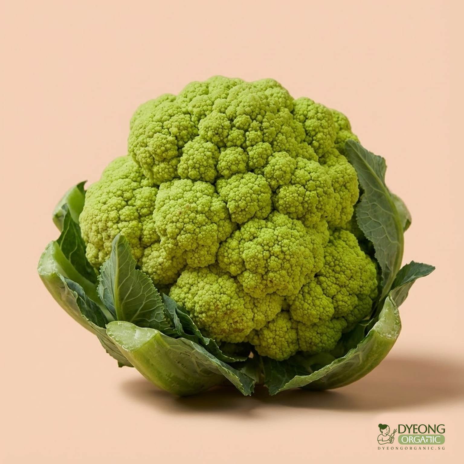 organic-cauliflower-green-500g-australia_11_Dyeong