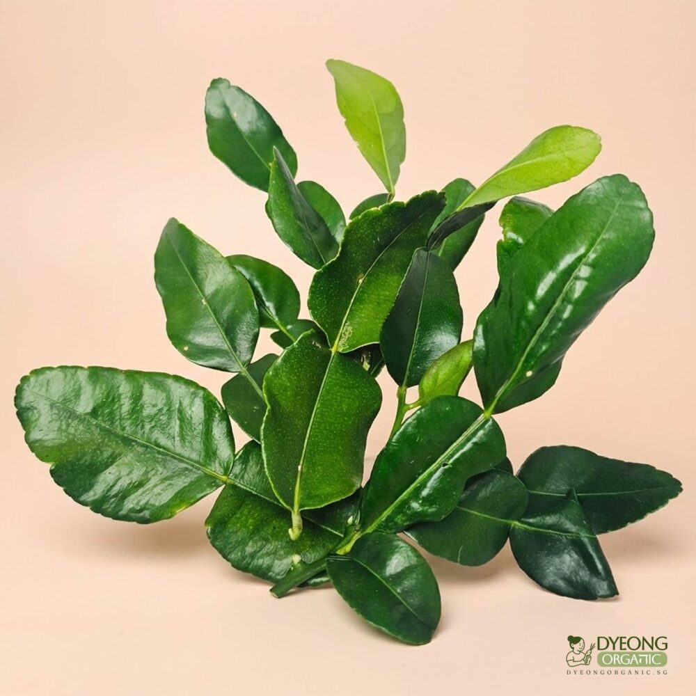 Organic Herbs – Kaffir Lime Leaves (25g)