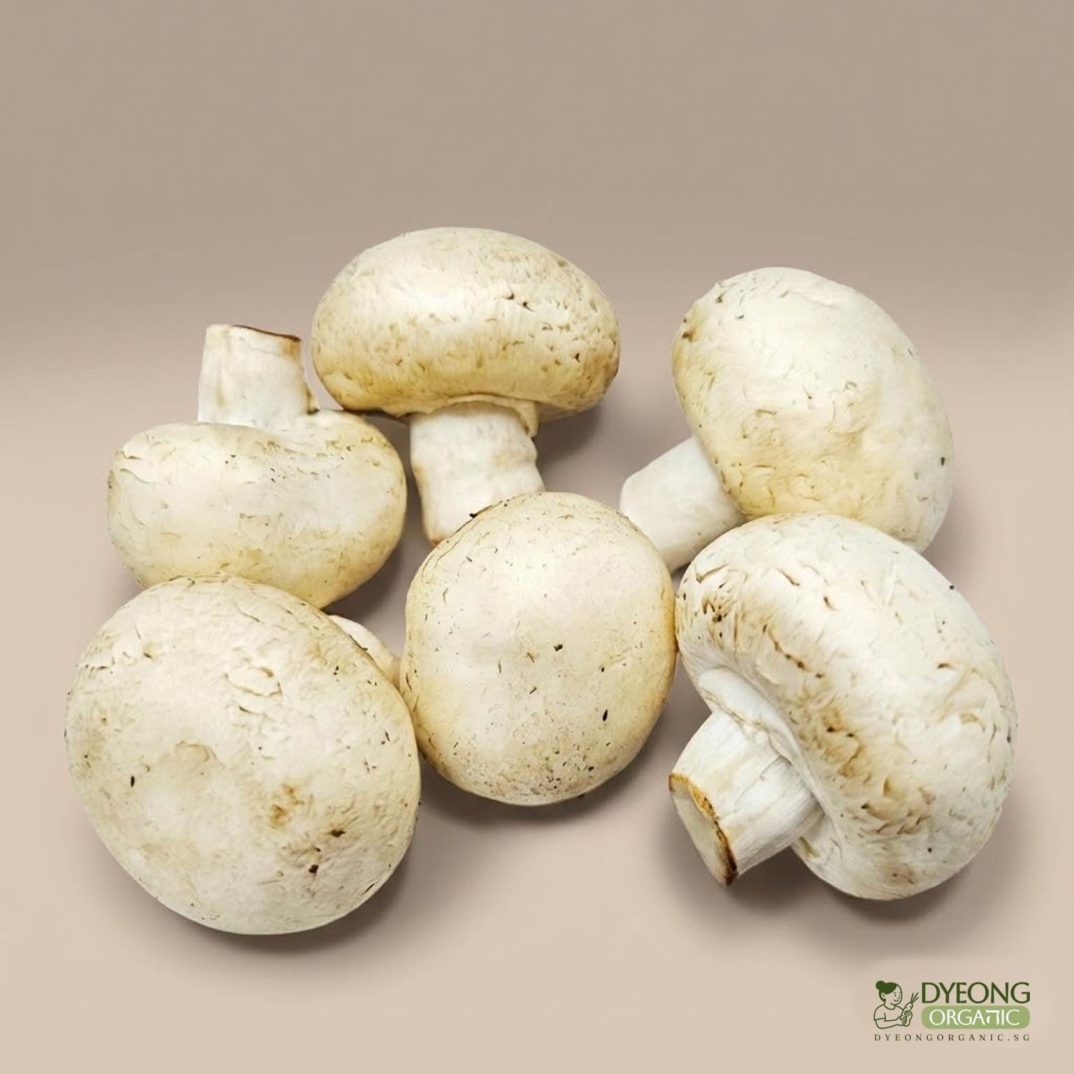 organic-mushroom-white-button-100g_24_Dyeong