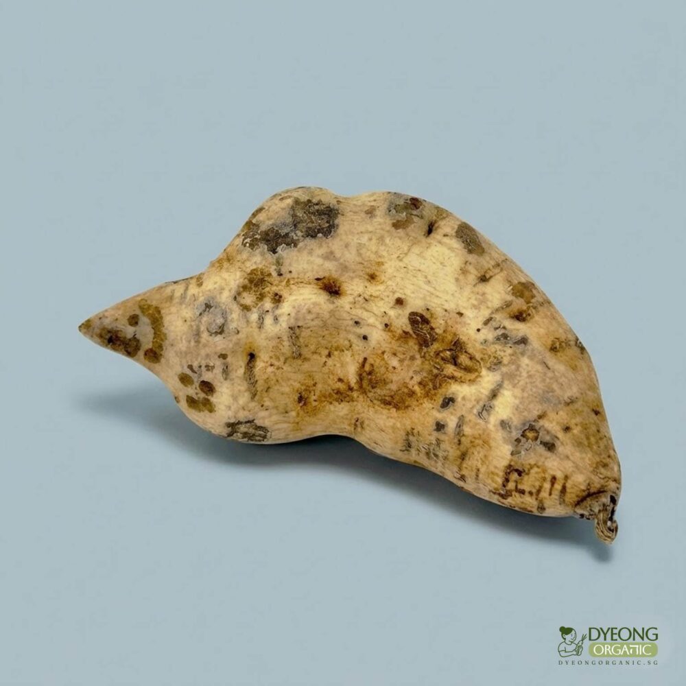 Organic Sweet Potato – White (500g) Australia