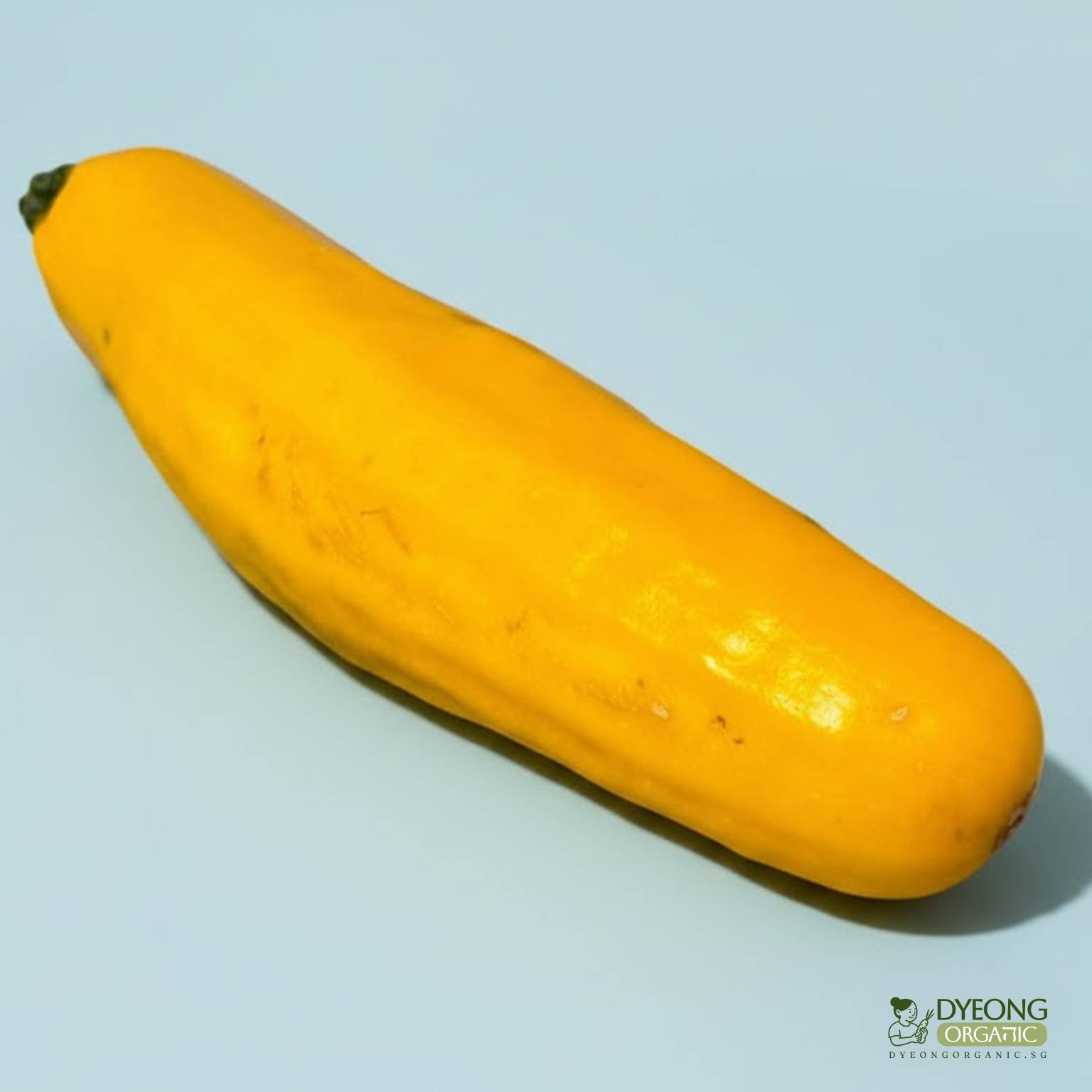 organic-zucchini-yellow-250g-australia_38_Dyeong