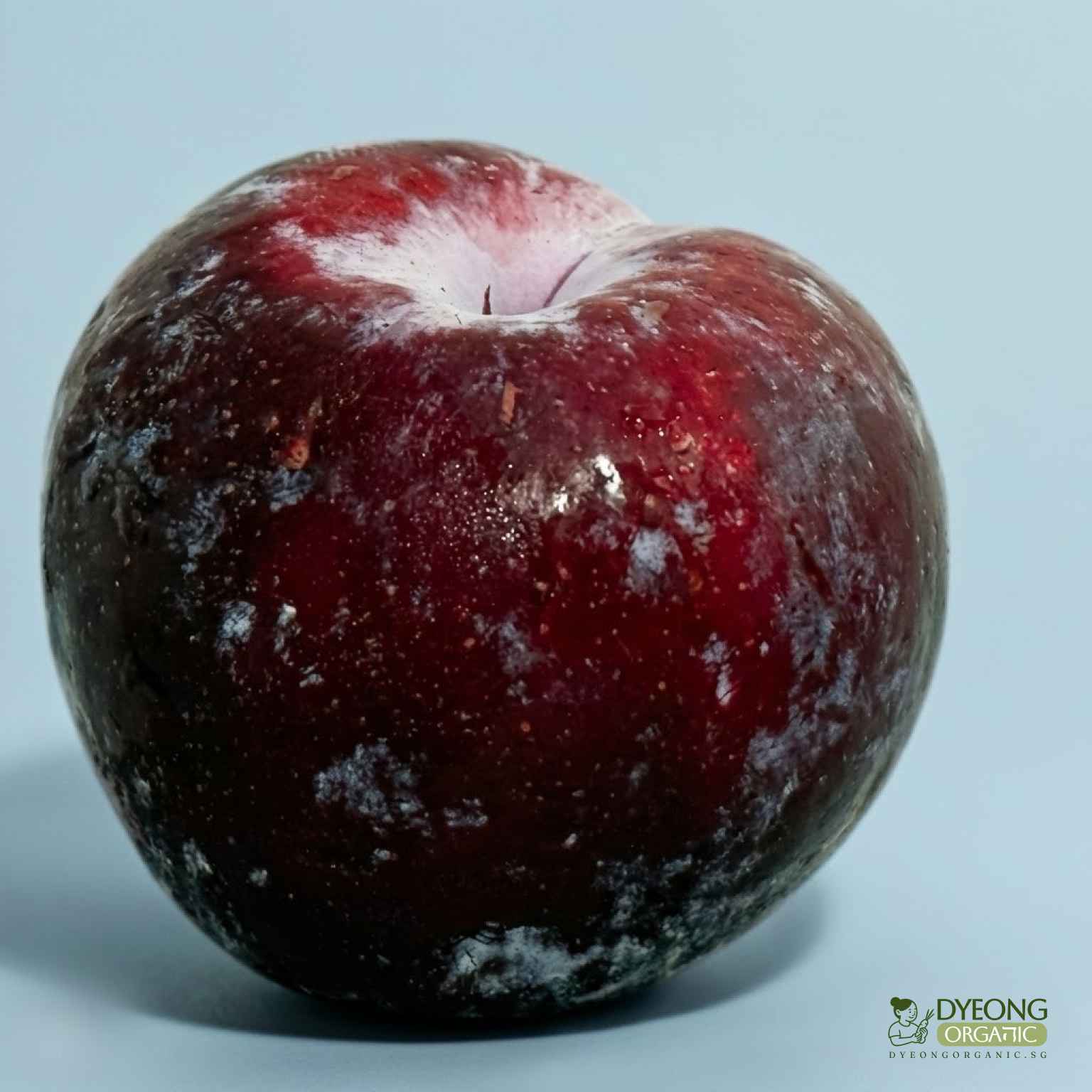 plum-each_3_11zon