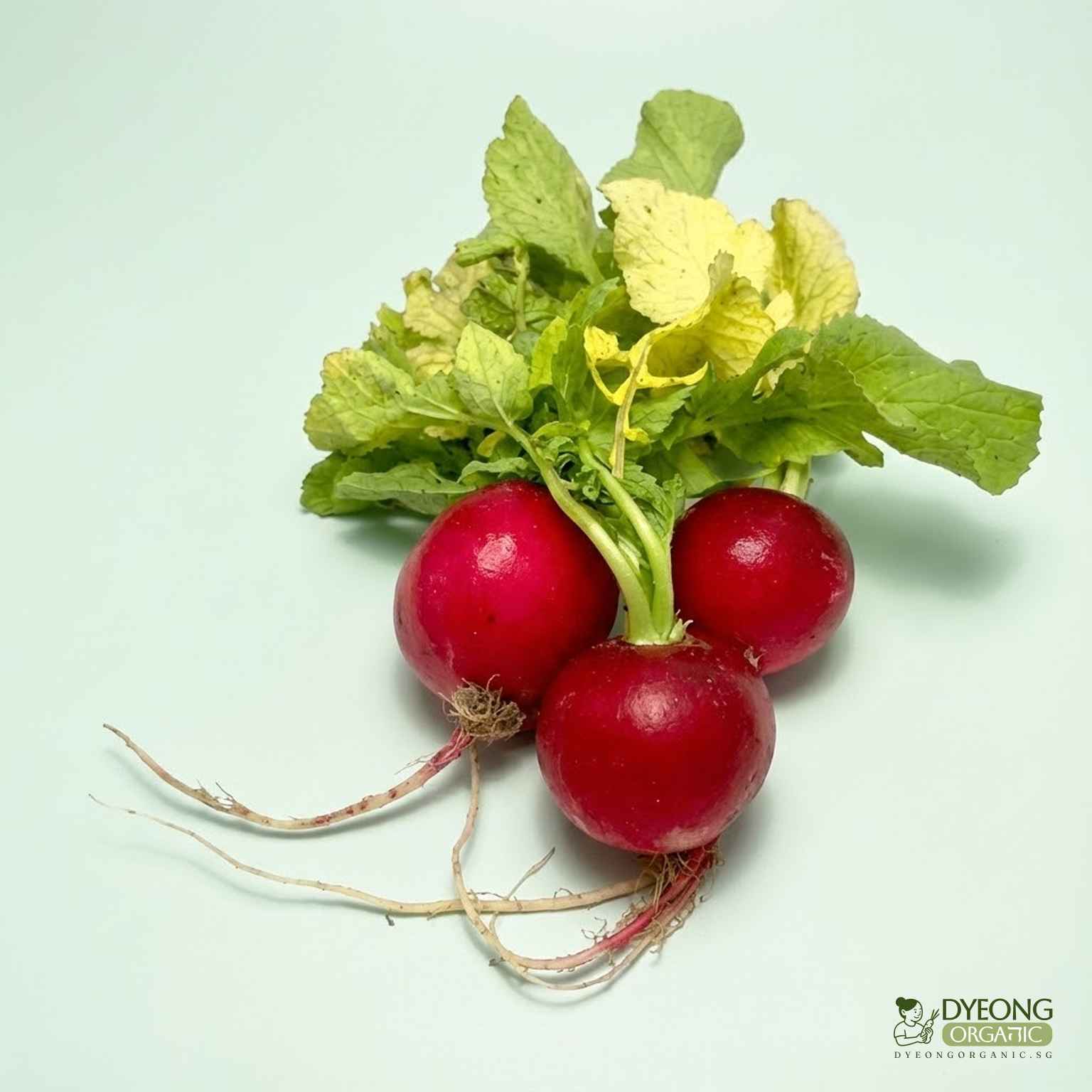 radish-200g_11_11zon