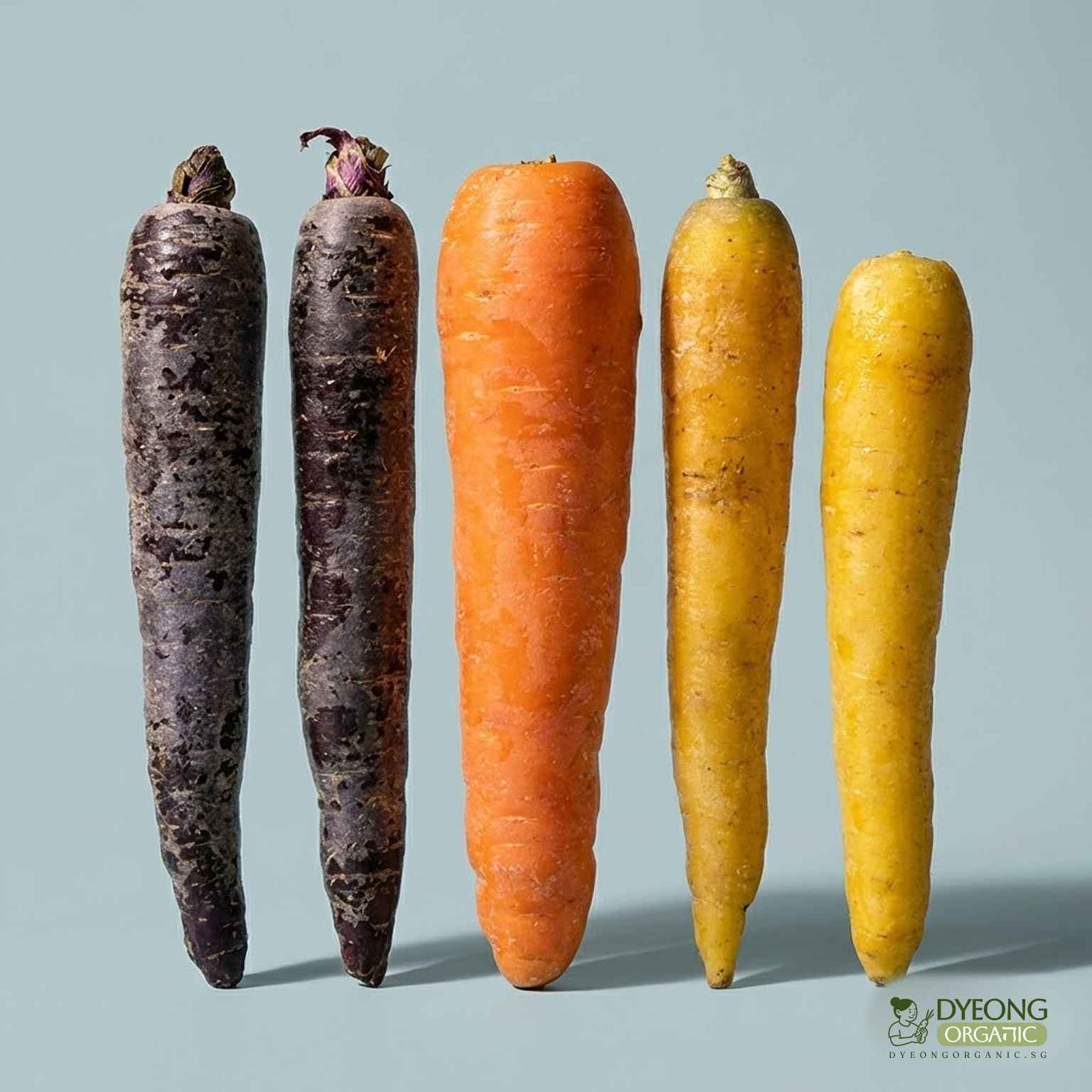 rainbow-carrots_12_11zon