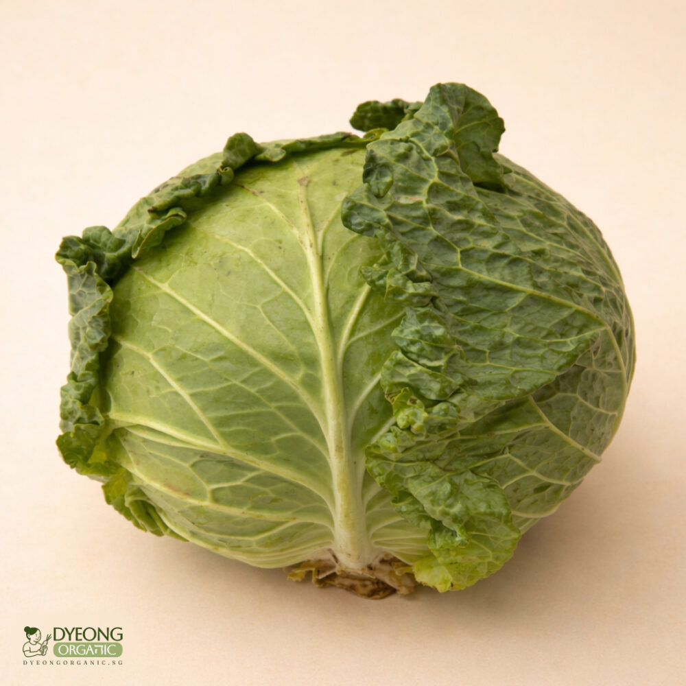 Organic Cabbage – Savoy (500g-cut) Australia